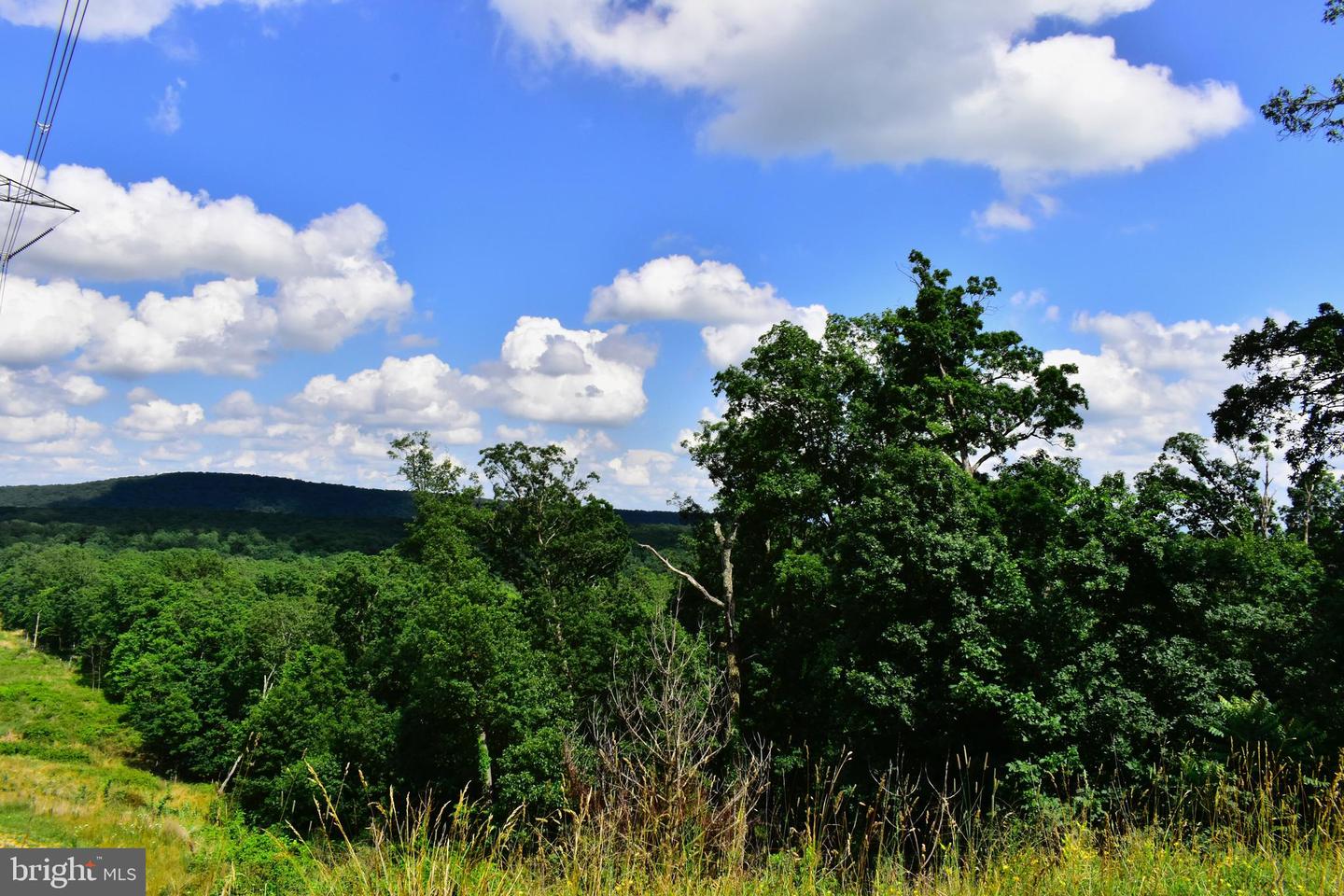 158.5 ACRES LOT 3 LAUREL GROVE RD., WINCHESTER, Virginia 22602, ,Farm,For Sale,158.5 ACRES LOT 3 LAUREL GROVE RD.,VAFV2037192 MLS # VAFV2037192 158.5 ACRES LOT 3 LAUREL GROVE RD., WINCHESTER, Virginia 22602, ,Farm,For Sale,158.5 ACRES LOT 3 LAUREL GROVE RD.,VAFV2037192 MLS # VAFV2037192