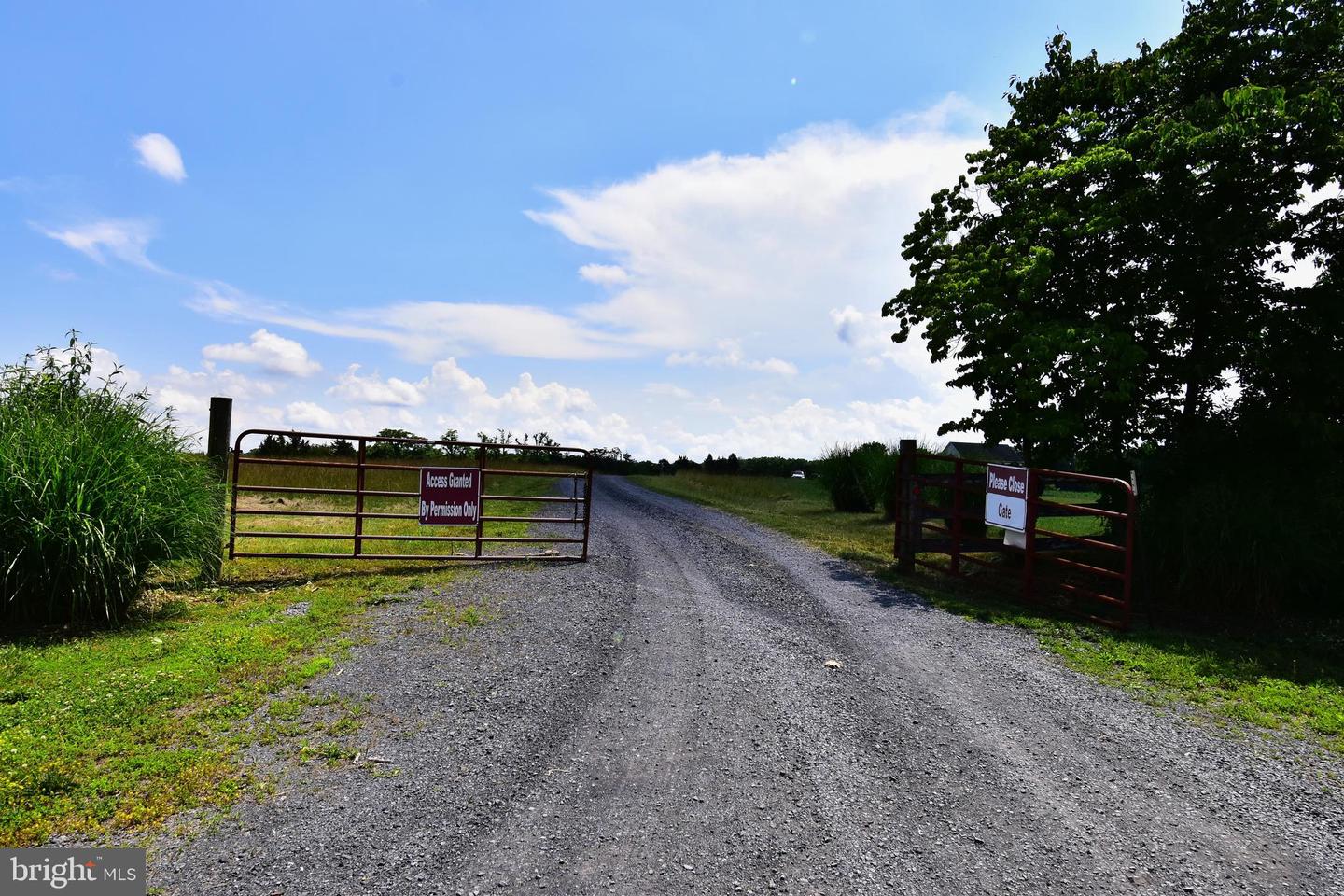 158.5 ACRES LOT 3 LAUREL GROVE RD., WINCHESTER, Virginia 22602, ,Farm,For Sale,158.5 ACRES LOT 3 LAUREL GROVE RD.,VAFV2037192 MLS # VAFV2037192 158.5 ACRES LOT 3 LAUREL GROVE RD., WINCHESTER, Virginia 22602, ,Farm,For Sale,158.5 ACRES LOT 3 LAUREL GROVE RD.,VAFV2037192 MLS # VAFV2037192