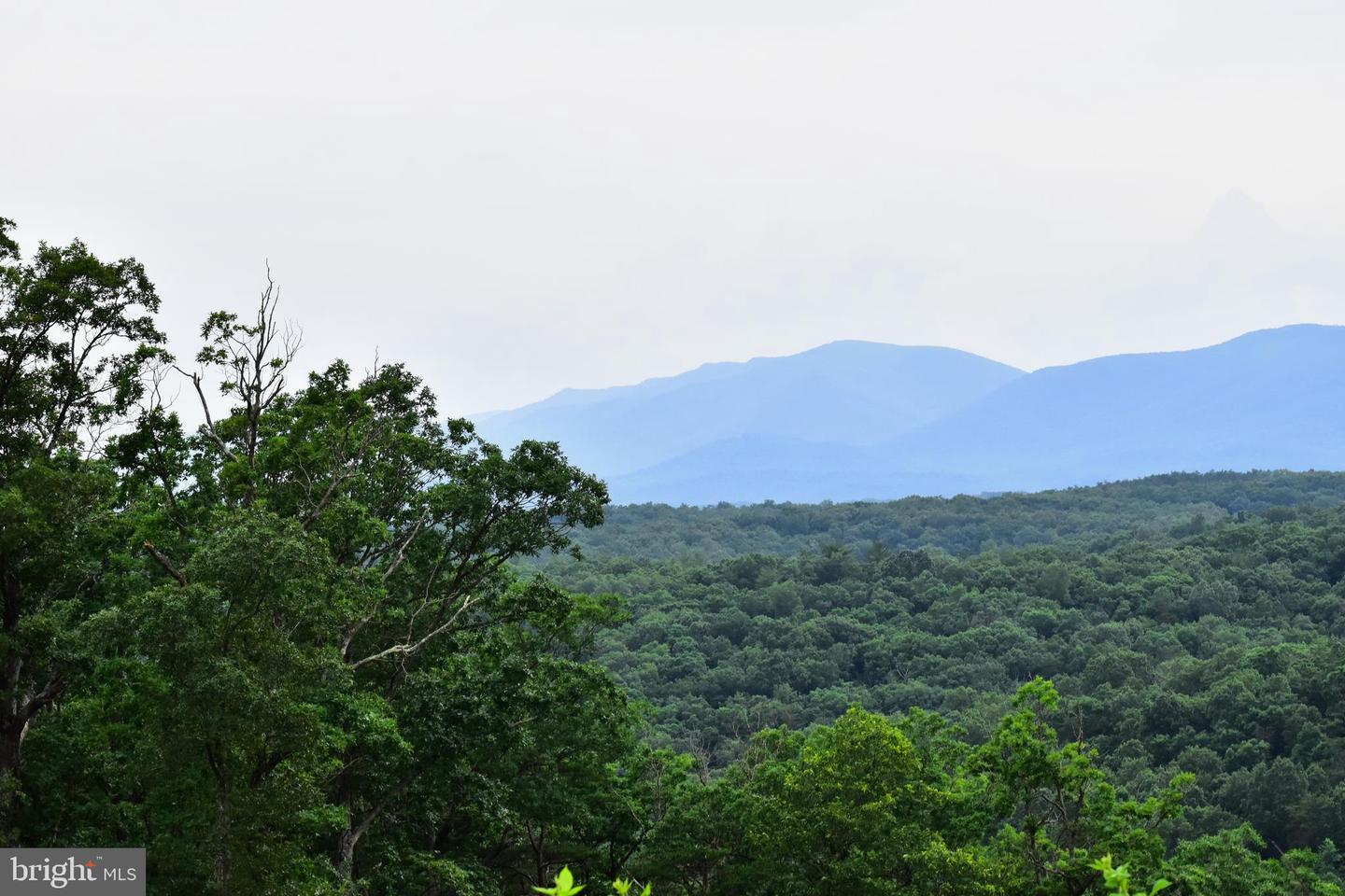 158.5 ACRES LOT 3 LAUREL GROVE RD., WINCHESTER, Virginia 22602, ,Farm,For Sale,158.5 ACRES LOT 3 LAUREL GROVE RD.,VAFV2037192 MLS # VAFV2037192 158.5 ACRES LOT 3 LAUREL GROVE RD., WINCHESTER, Virginia 22602, ,Farm,For Sale,158.5 ACRES LOT 3 LAUREL GROVE RD.,VAFV2037192 MLS # VAFV2037192
