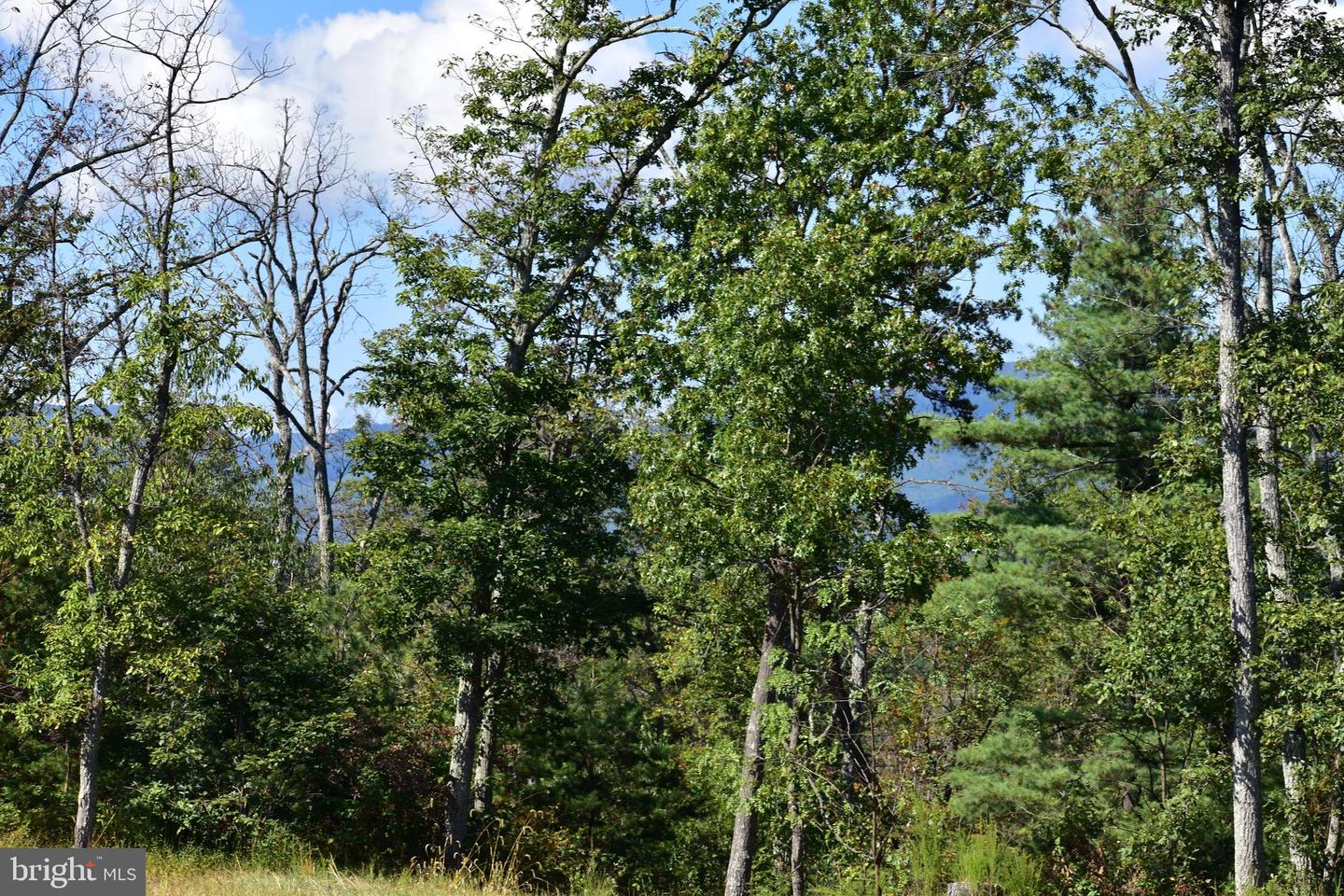 158.5 ACRES LOT 3 LAUREL GROVE RD., WINCHESTER, Virginia 22602, ,Farm,For Sale,158.5 ACRES LOT 3 LAUREL GROVE RD.,VAFV2037192 MLS # VAFV2037192 158.5 ACRES LOT 3 LAUREL GROVE RD., WINCHESTER, Virginia 22602, ,Farm,For Sale,158.5 ACRES LOT 3 LAUREL GROVE RD.,VAFV2037192 MLS # VAFV2037192