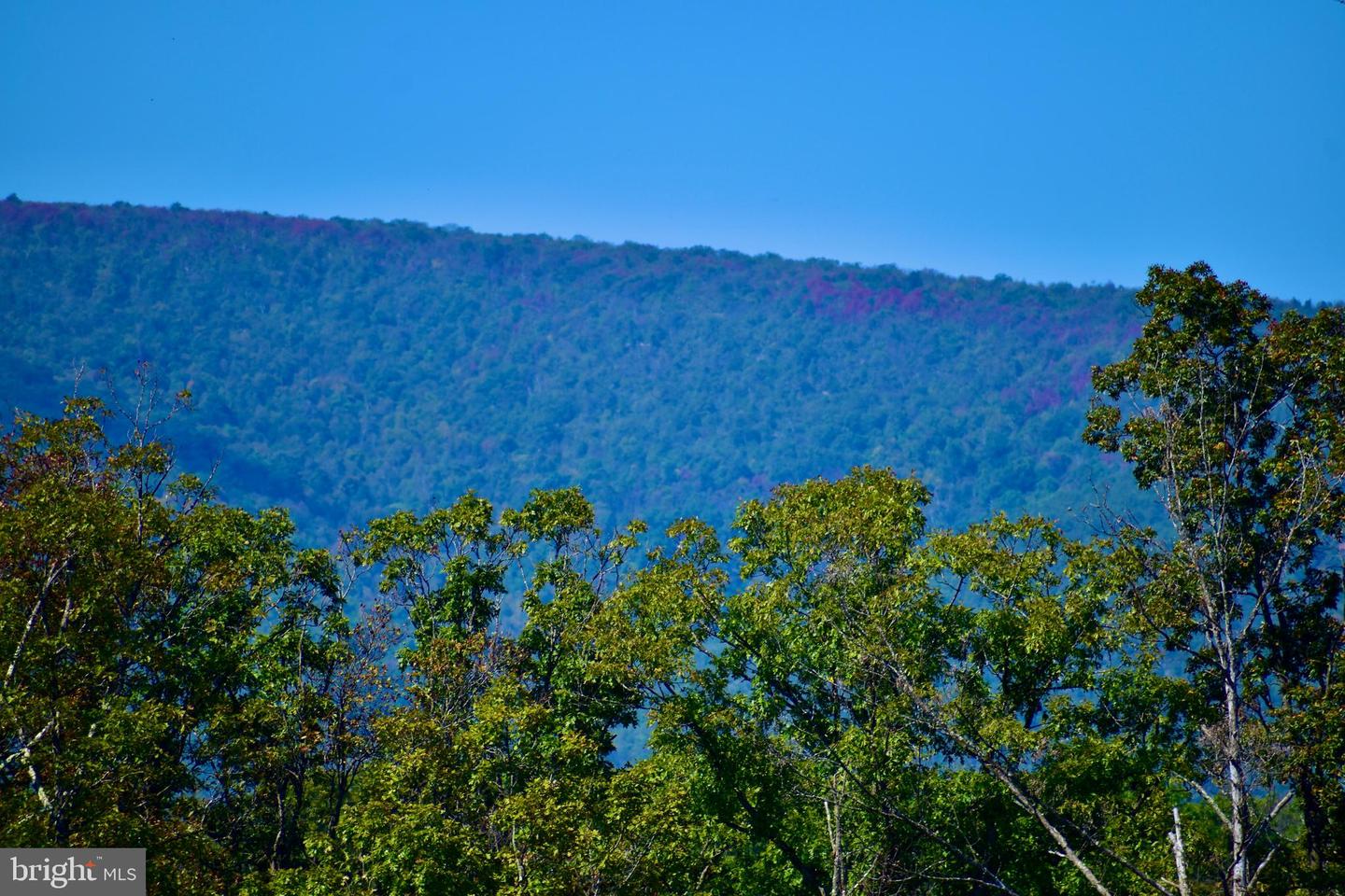 158.5 ACRES LOT 3 LAUREL GROVE RD., WINCHESTER, Virginia 22602, ,Farm,For Sale,158.5 ACRES LOT 3 LAUREL GROVE RD.,VAFV2037192 MLS # VAFV2037192 158.5 ACRES LOT 3 LAUREL GROVE RD., WINCHESTER, Virginia 22602, ,Farm,For Sale,158.5 ACRES LOT 3 LAUREL GROVE RD.,VAFV2037192 MLS # VAFV2037192