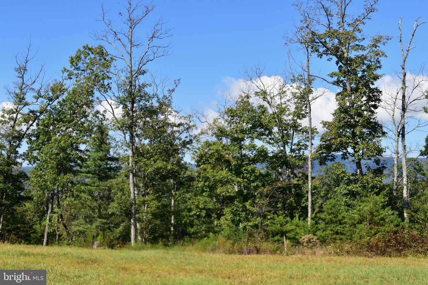 158.5 ACRES LOT 3 LAUREL GROVE RD., WINCHESTER, Virginia 22602, ,Farm,For Sale,158.5 ACRES LOT 3 LAUREL GROVE RD.,VAFV2037192 MLS # VAFV2037192 158.5 ACRES LOT 3 LAUREL GROVE RD., WINCHESTER, Virginia 22602, ,Farm,For Sale,158.5 ACRES LOT 3 LAUREL GROVE RD.,VAFV2037192 MLS # VAFV2037192