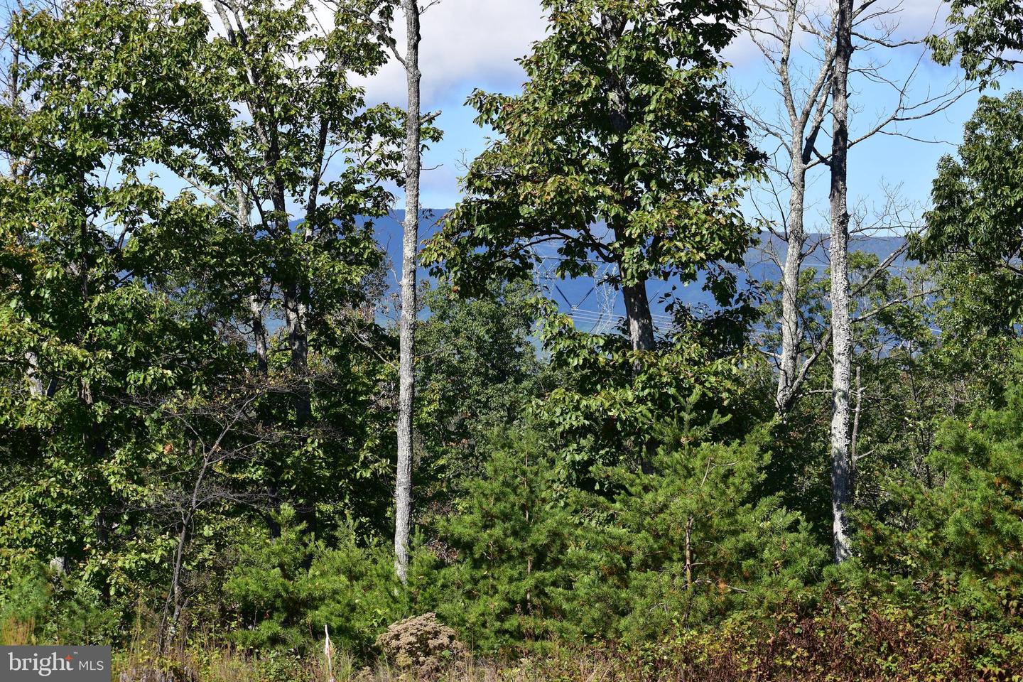 158.5 ACRES LOT 3 LAUREL GROVE RD., WINCHESTER, Virginia 22602, ,Farm,For Sale,158.5 ACRES LOT 3 LAUREL GROVE RD.,VAFV2037192 MLS # VAFV2037192 158.5 ACRES LOT 3 LAUREL GROVE RD., WINCHESTER, Virginia 22602, ,Farm,For Sale,158.5 ACRES LOT 3 LAUREL GROVE RD.,VAFV2037192 MLS # VAFV2037192