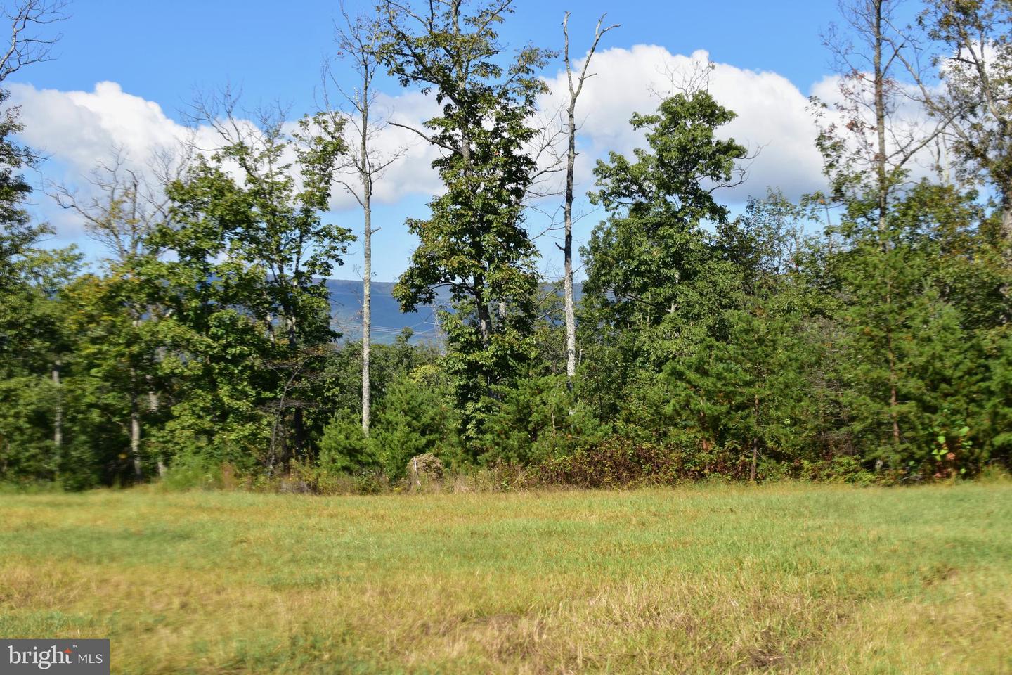 158.5 ACRES LOT 3 LAUREL GROVE RD., WINCHESTER, Virginia 22602, ,Farm,For Sale,158.5 ACRES LOT 3 LAUREL GROVE RD.,VAFV2037192 MLS # VAFV2037192 158.5 ACRES LOT 3 LAUREL GROVE RD., WINCHESTER, Virginia 22602, ,Farm,For Sale,158.5 ACRES LOT 3 LAUREL GROVE RD.,VAFV2037192 MLS # VAFV2037192