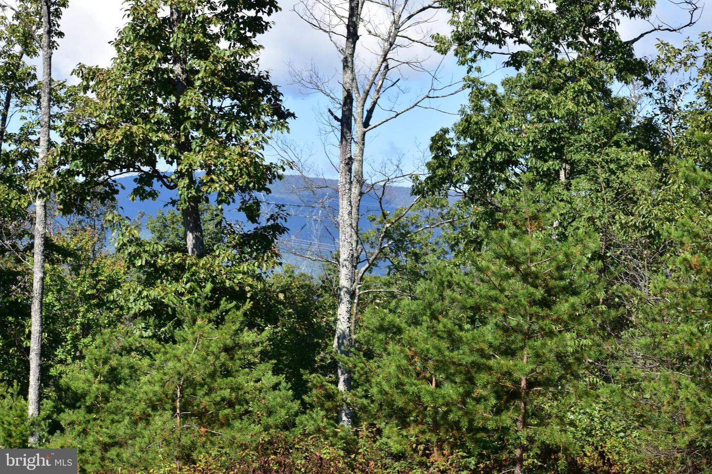 158.5 ACRES LOT 3 LAUREL GROVE RD., WINCHESTER, Virginia 22602, ,Farm,For Sale,158.5 ACRES LOT 3 LAUREL GROVE RD.,VAFV2037192 MLS # VAFV2037192 158.5 ACRES LOT 3 LAUREL GROVE RD., WINCHESTER, Virginia 22602, ,Farm,For Sale,158.5 ACRES LOT 3 LAUREL GROVE RD.,VAFV2037192 MLS # VAFV2037192