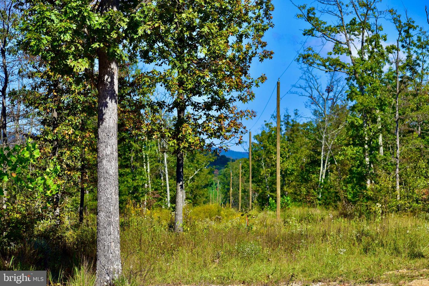 158.5 ACRES LOT 3 LAUREL GROVE RD., WINCHESTER, Virginia 22602, ,Farm,For Sale,158.5 ACRES LOT 3 LAUREL GROVE RD.,VAFV2037192 MLS # VAFV2037192 158.5 ACRES LOT 3 LAUREL GROVE RD., WINCHESTER, Virginia 22602, ,Farm,For Sale,158.5 ACRES LOT 3 LAUREL GROVE RD.,VAFV2037192 MLS # VAFV2037192