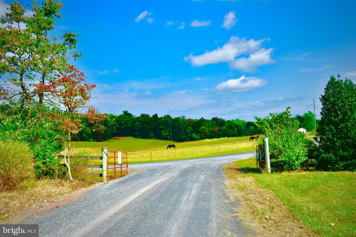 158.5 ACRES LOT 3 LAUREL GROVE RD., WINCHESTER, Virginia 22602, ,Farm,For Sale,158.5 ACRES LOT 3 LAUREL GROVE RD.,VAFV2037192 MLS # VAFV2037192 158.5 ACRES LOT 3 LAUREL GROVE RD., WINCHESTER, Virginia 22602, ,Farm,For Sale,158.5 ACRES LOT 3 LAUREL GROVE RD.,VAFV2037192 MLS # VAFV2037192