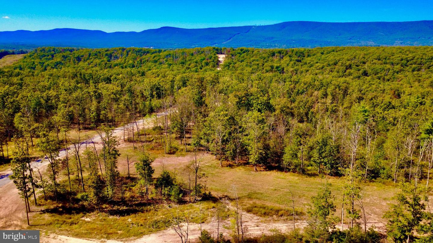 158.5 ACRES LOT 3 LAUREL GROVE RD., WINCHESTER, Virginia 22602, ,Farm,For Sale,158.5 ACRES LOT 3 LAUREL GROVE RD.,VAFV2037192 MLS # VAFV2037192 158.5 ACRES LOT 3 LAUREL GROVE RD., WINCHESTER, Virginia 22602, ,Farm,For Sale,158.5 ACRES LOT 3 LAUREL GROVE RD.,VAFV2037192 MLS # VAFV2037192