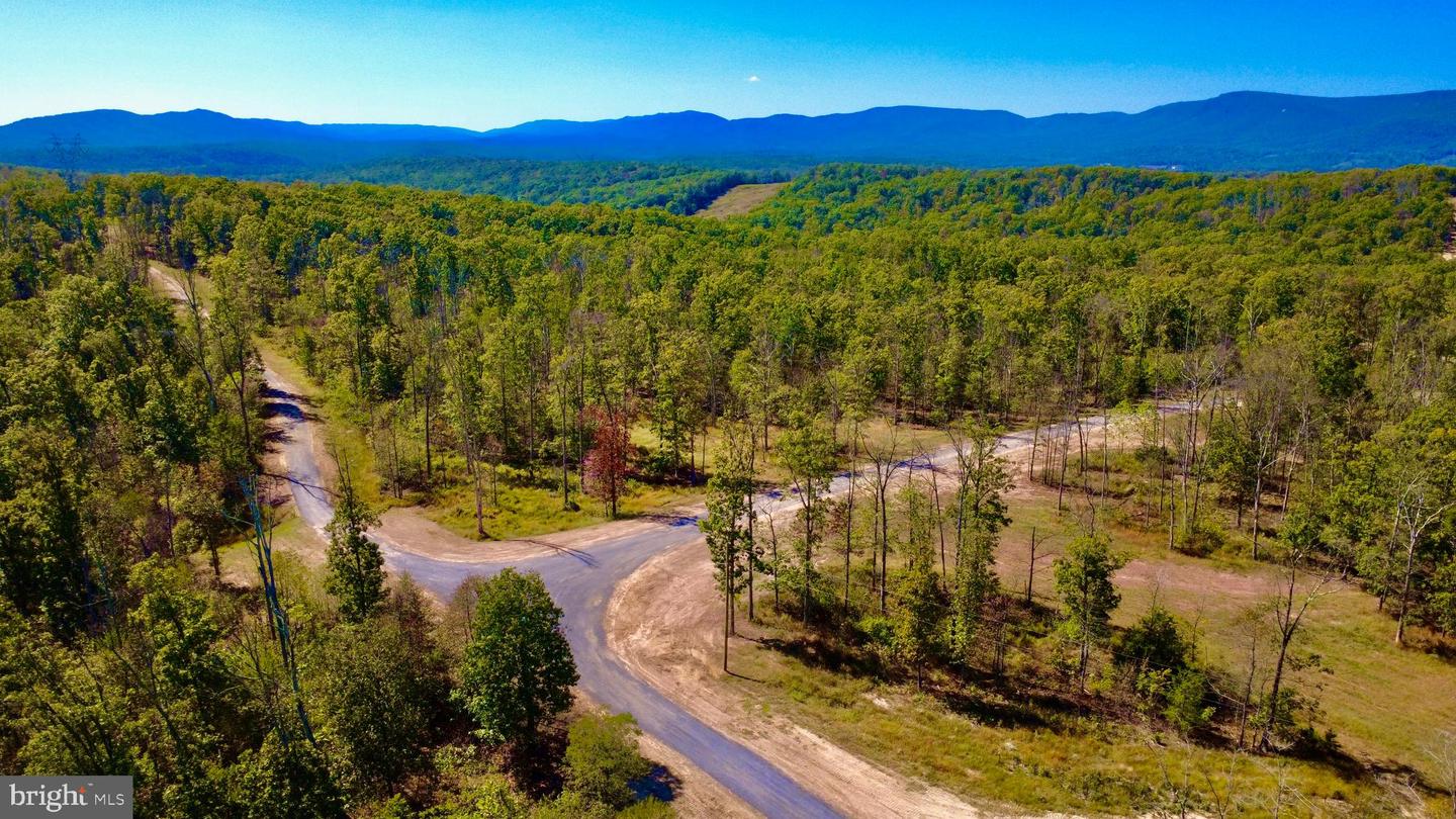 158.5 ACRES LOT 3 LAUREL GROVE RD., WINCHESTER, Virginia 22602, ,Farm,For Sale,158.5 ACRES LOT 3 LAUREL GROVE RD.,VAFV2037192 MLS # VAFV2037192 158.5 ACRES LOT 3 LAUREL GROVE RD., WINCHESTER, Virginia 22602, ,Farm,For Sale,158.5 ACRES LOT 3 LAUREL GROVE RD.,VAFV2037192 MLS # VAFV2037192
