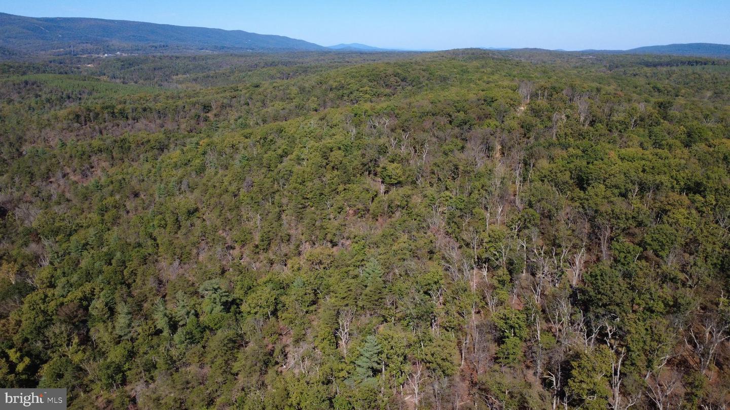 158.5 ACRES LOT 3 LAUREL GROVE RD., WINCHESTER, Virginia 22602, ,Farm,For Sale,158.5 ACRES LOT 3 LAUREL GROVE RD.,VAFV2037192 MLS # VAFV2037192 158.5 ACRES LOT 3 LAUREL GROVE RD., WINCHESTER, Virginia 22602, ,Farm,For Sale,158.5 ACRES LOT 3 LAUREL GROVE RD.,VAFV2037192 MLS # VAFV2037192