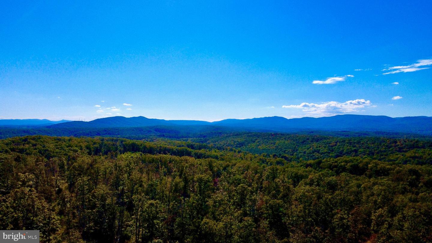 158.5 ACRES LOT 3 LAUREL GROVE RD., WINCHESTER, Virginia 22602, ,Farm,For Sale,158.5 ACRES LOT 3 LAUREL GROVE RD.,VAFV2037192 MLS # VAFV2037192 158.5 ACRES LOT 3 LAUREL GROVE RD., WINCHESTER, Virginia 22602, ,Farm,For Sale,158.5 ACRES LOT 3 LAUREL GROVE RD.,VAFV2037192 MLS # VAFV2037192