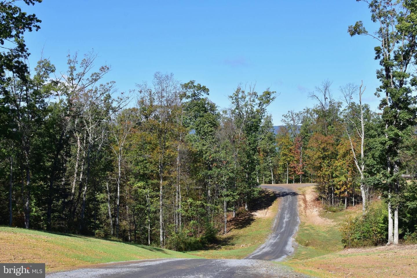 158.5 ACRES LOT 3 LAUREL GROVE RD., WINCHESTER, Virginia 22602, ,Farm,For Sale,158.5 ACRES LOT 3 LAUREL GROVE RD.,VAFV2037192 MLS # VAFV2037192 158.5 ACRES LOT 3 LAUREL GROVE RD., WINCHESTER, Virginia 22602, ,Farm,For Sale,158.5 ACRES LOT 3 LAUREL GROVE RD.,VAFV2037192 MLS # VAFV2037192