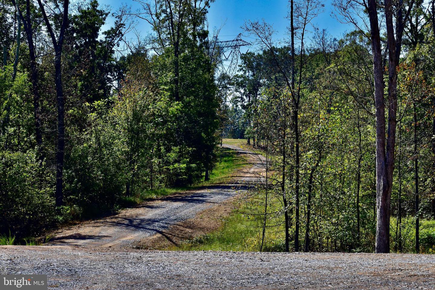158.5 ACRES LOT 3 LAUREL GROVE RD., WINCHESTER, Virginia 22602, ,Farm,For Sale,158.5 ACRES LOT 3 LAUREL GROVE RD.,VAFV2037192 MLS # VAFV2037192 158.5 ACRES LOT 3 LAUREL GROVE RD., WINCHESTER, Virginia 22602, ,Farm,For Sale,158.5 ACRES LOT 3 LAUREL GROVE RD.,VAFV2037192 MLS # VAFV2037192