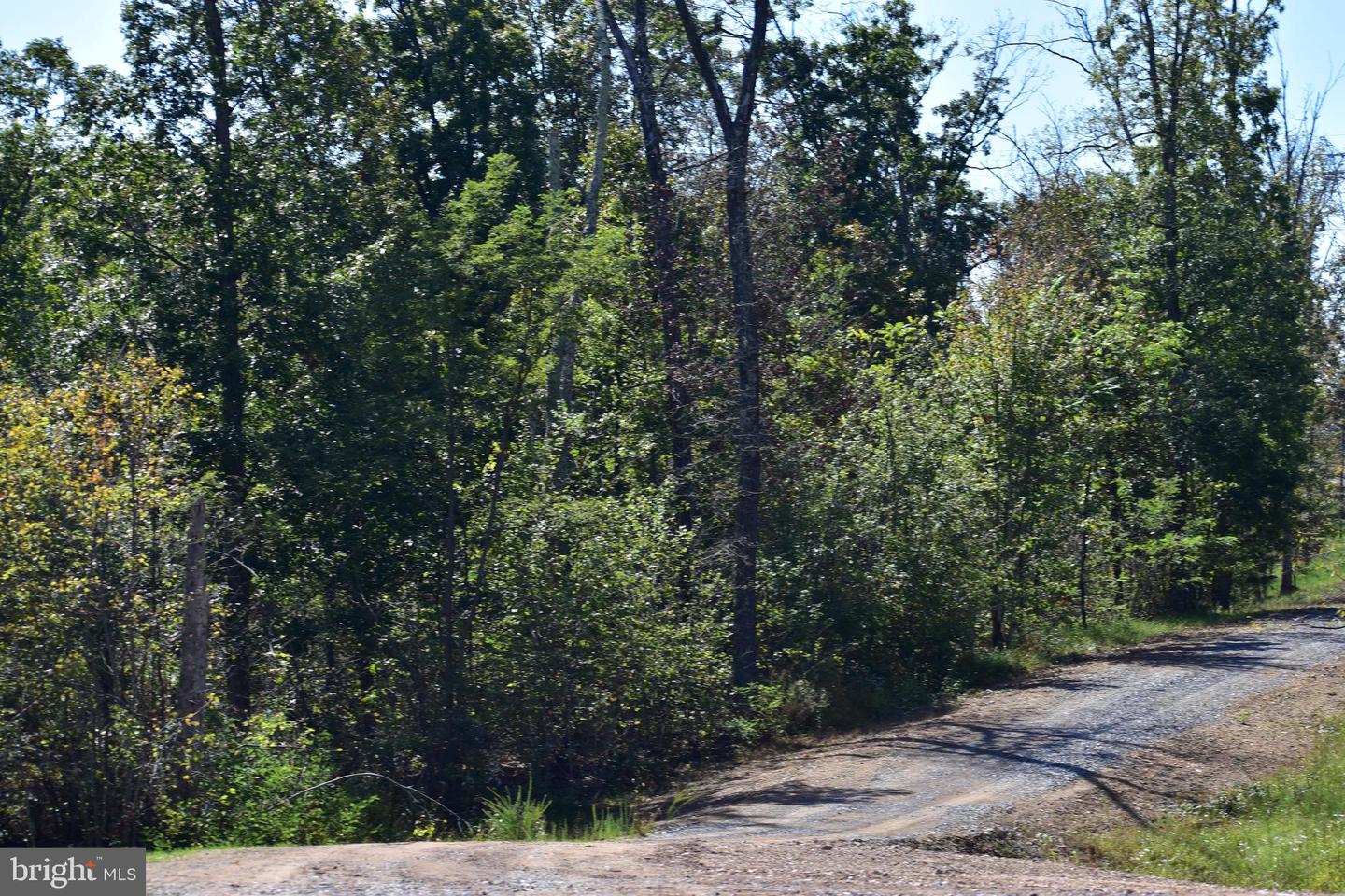 158.5 ACRES LOT 3 LAUREL GROVE RD., WINCHESTER, Virginia 22602, ,Farm,For Sale,158.5 ACRES LOT 3 LAUREL GROVE RD.,VAFV2037192 MLS # VAFV2037192 158.5 ACRES LOT 3 LAUREL GROVE RD., WINCHESTER, Virginia 22602, ,Farm,For Sale,158.5 ACRES LOT 3 LAUREL GROVE RD.,VAFV2037192 MLS # VAFV2037192