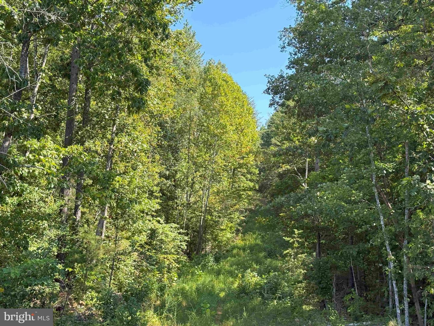 COMMUNITY HOUSE ROAD (TRACT: JR RAGLAND-HOLLAND-2), COLUMBIA, Virginia 23038, ,Farm,For Sale,COMMUNITY HOUSE ROAD (TRACT: JR RAGLAND-HOLLAND-2),VAFN2000510 MLS # VAFN2000510 COMMUNITY HOUSE ROAD (TRACT: JR RAGLAND-HOLLAND-2), COLUMBIA, Virginia 23038, ,Farm,For Sale,COMMUNITY HOUSE ROAD (TRACT: JR RAGLAND-HOLLAND-2),VAFN2000510 MLS # VAFN2000510