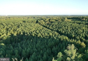 MATHIAS POINT RD, KING GEORGE, Virginia 22485, ,Farm,For Sale,MATHIAS POINT RD,VAKG2007058 MLS # VAKG2007058 MATHIAS POINT RD, KING GEORGE, Virginia 22485, ,Farm,For Sale,MATHIAS POINT RD,VAKG2007058 MLS # VAKG2007058