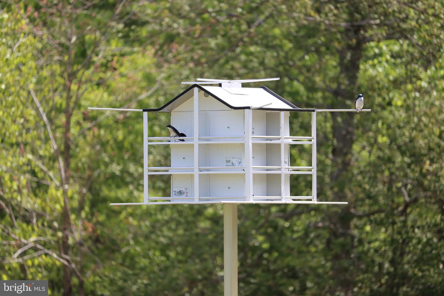 1185 BELLE MEADE RD, BUMPASS, Virginia 23024, 4 Bedrooms Bedrooms, ,4 BathroomsBathrooms,Residential,For Sale,1185 BELLE MEADE RD,VALA2008668 MLS # VALA2008668