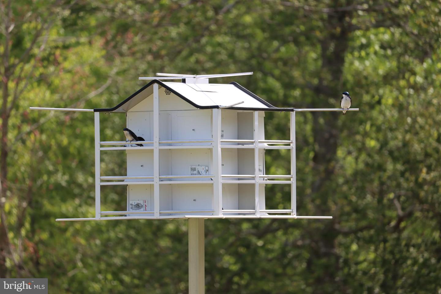 1185 BELLE MEADE RD, BUMPASS, Virginia 23024, 4 Bedrooms Bedrooms, ,4 BathroomsBathrooms,Residential,For Sale,1185 BELLE MEADE RD,VALA2008668 MLS # VALA2008668