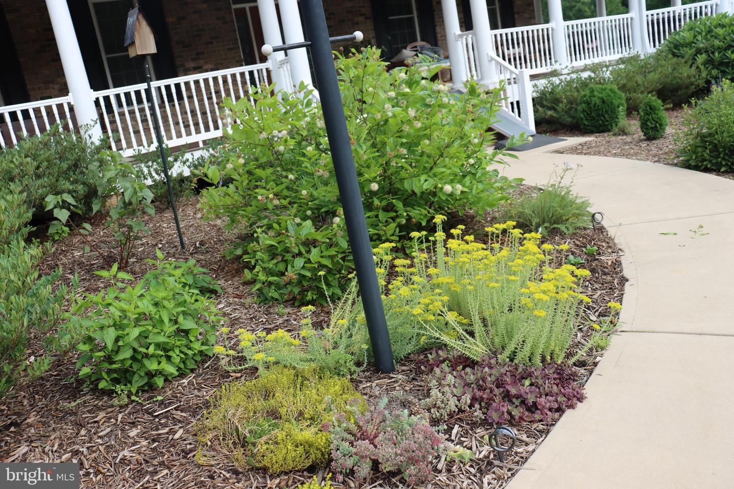 1185 BELLE MEADE RD, BUMPASS, Virginia 23024, 4 Bedrooms Bedrooms, ,4 BathroomsBathrooms,Residential,For Sale,1185 BELLE MEADE RD,VALA2008668 MLS # VALA2008668