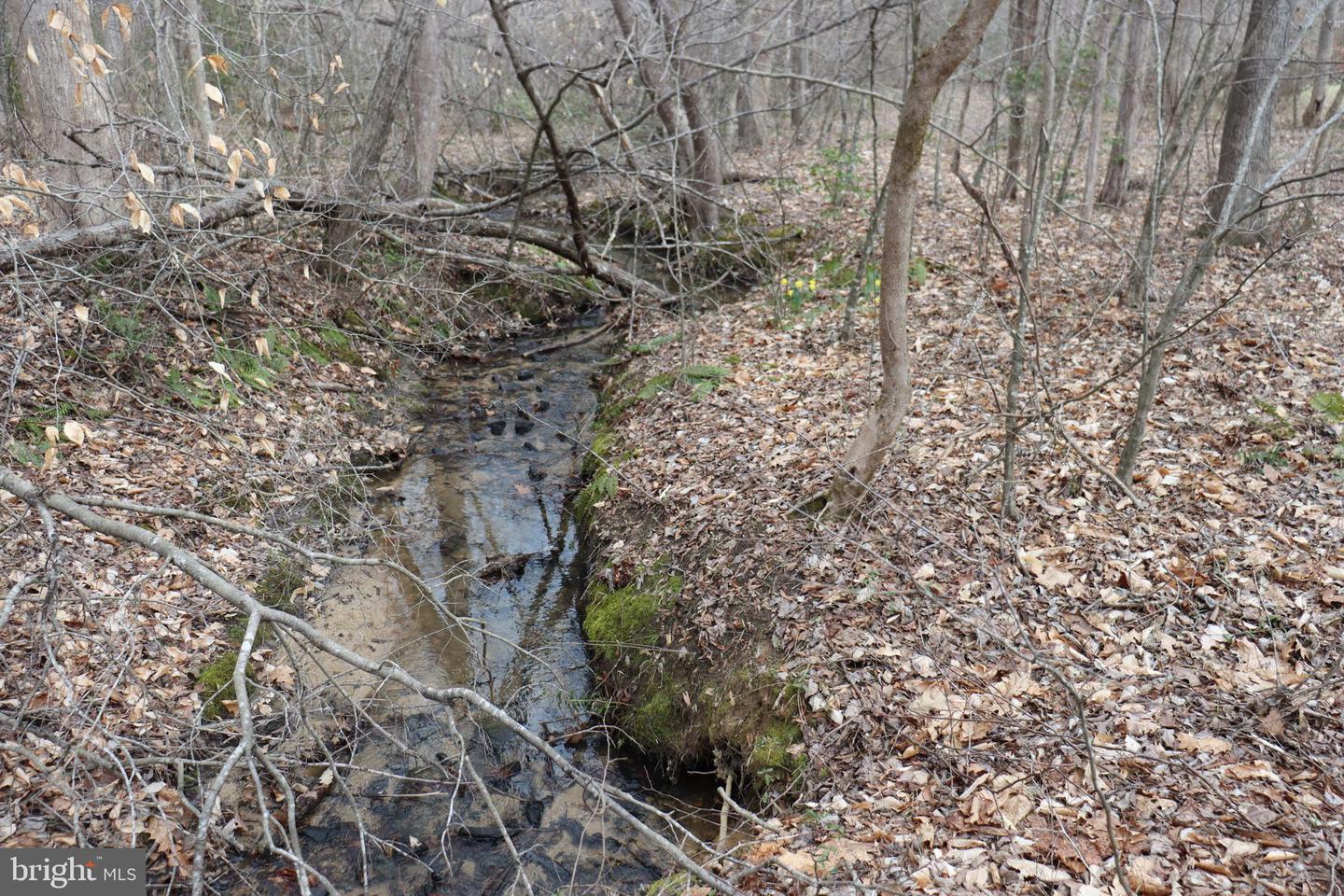 1185 BELLE MEADE RD, BUMPASS, Virginia 23024, 4 Bedrooms Bedrooms, ,4 BathroomsBathrooms,Residential,For Sale,1185 BELLE MEADE RD,VALA2008668 MLS # VALA2008668