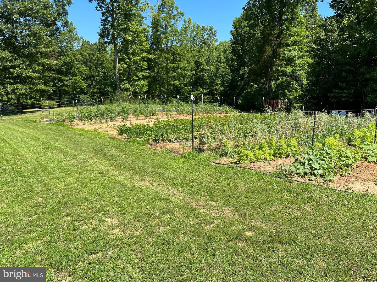 1185 BELLE MEADE RD, BUMPASS, Virginia 23024, 4 Bedrooms Bedrooms, ,4 BathroomsBathrooms,Residential,For Sale,1185 BELLE MEADE RD,VALA2008668 MLS # VALA2008668