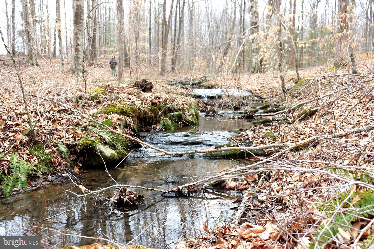 1185 BELLE MEADE RD, BUMPASS, Virginia 23024, 4 Bedrooms Bedrooms, ,4 BathroomsBathrooms,Residential,For Sale,1185 BELLE MEADE RD,VALA2008668 MLS # VALA2008668