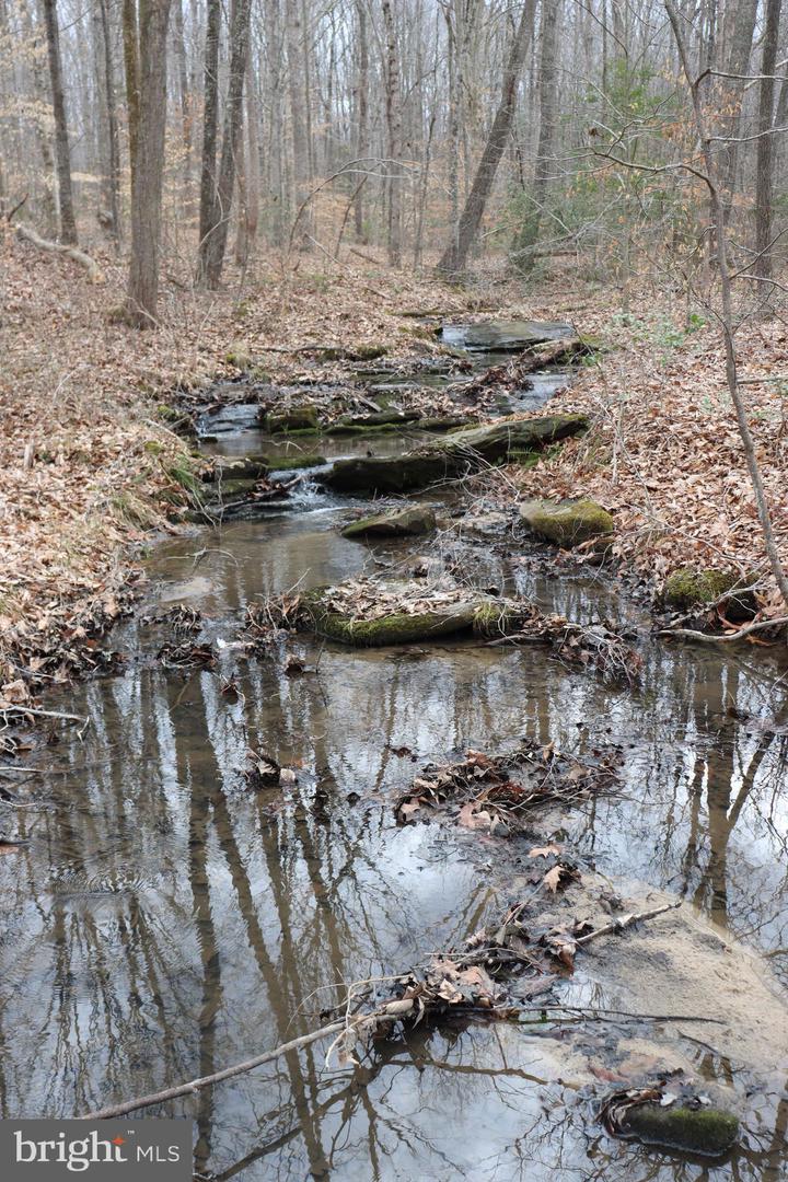 1185 BELLE MEADE RD, BUMPASS, Virginia 23024, 4 Bedrooms Bedrooms, ,4 BathroomsBathrooms,Residential,For Sale,1185 BELLE MEADE RD,VALA2008668 MLS # VALA2008668