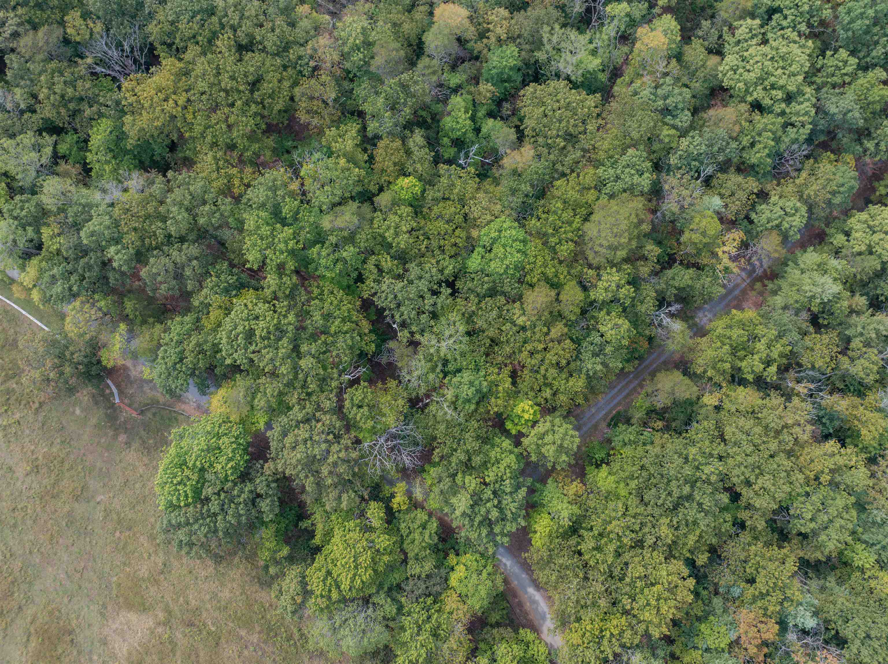 TBD JONES OVERLOOK, HOWARDSVILLE, Virginia 24562, ,Farm,14,TBD JONES OVERLOOK,669732 MLS # 669732