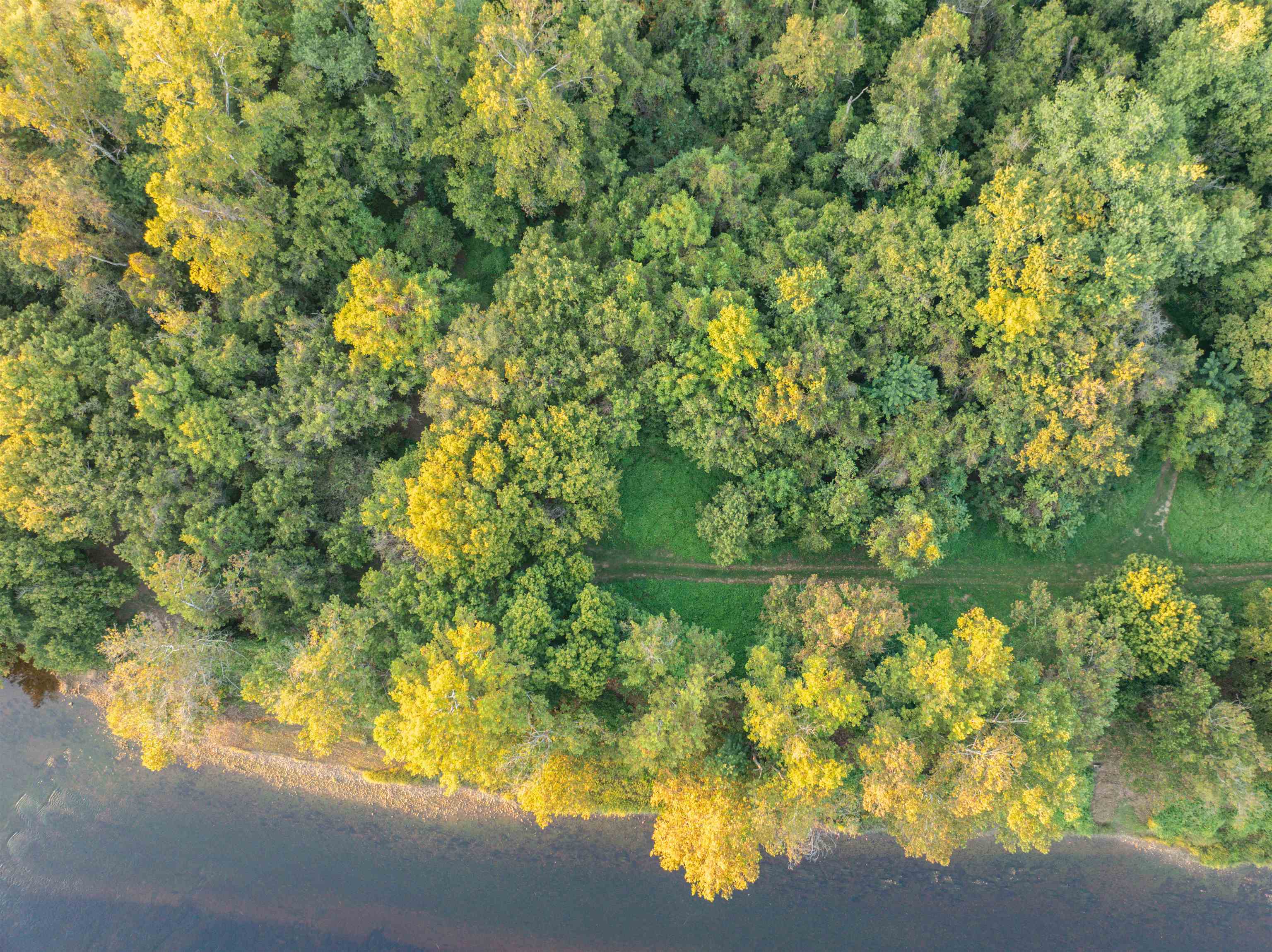 TBD JONES OVERLOOK, HOWARDSVILLE, Virginia 24562, ,Farm,14,TBD JONES OVERLOOK,669732 MLS # 669732