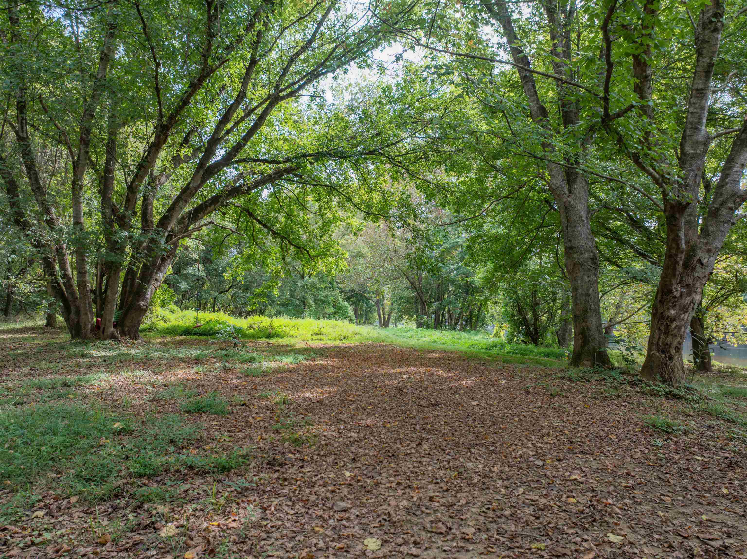 TBD JONES OVERLOOK, HOWARDSVILLE, Virginia 24562, ,Farm,14,TBD JONES OVERLOOK,669732 MLS # 669732