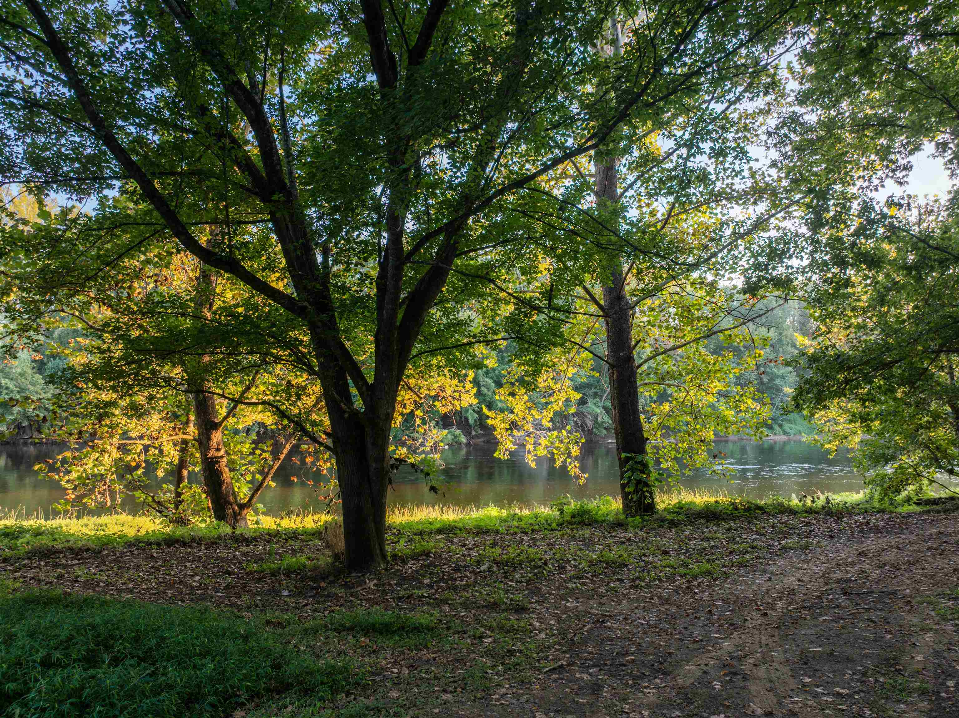 TBD JONES OVERLOOK, HOWARDSVILLE, Virginia 24562, ,Farm,14,TBD JONES OVERLOOK,669732 MLS # 669732