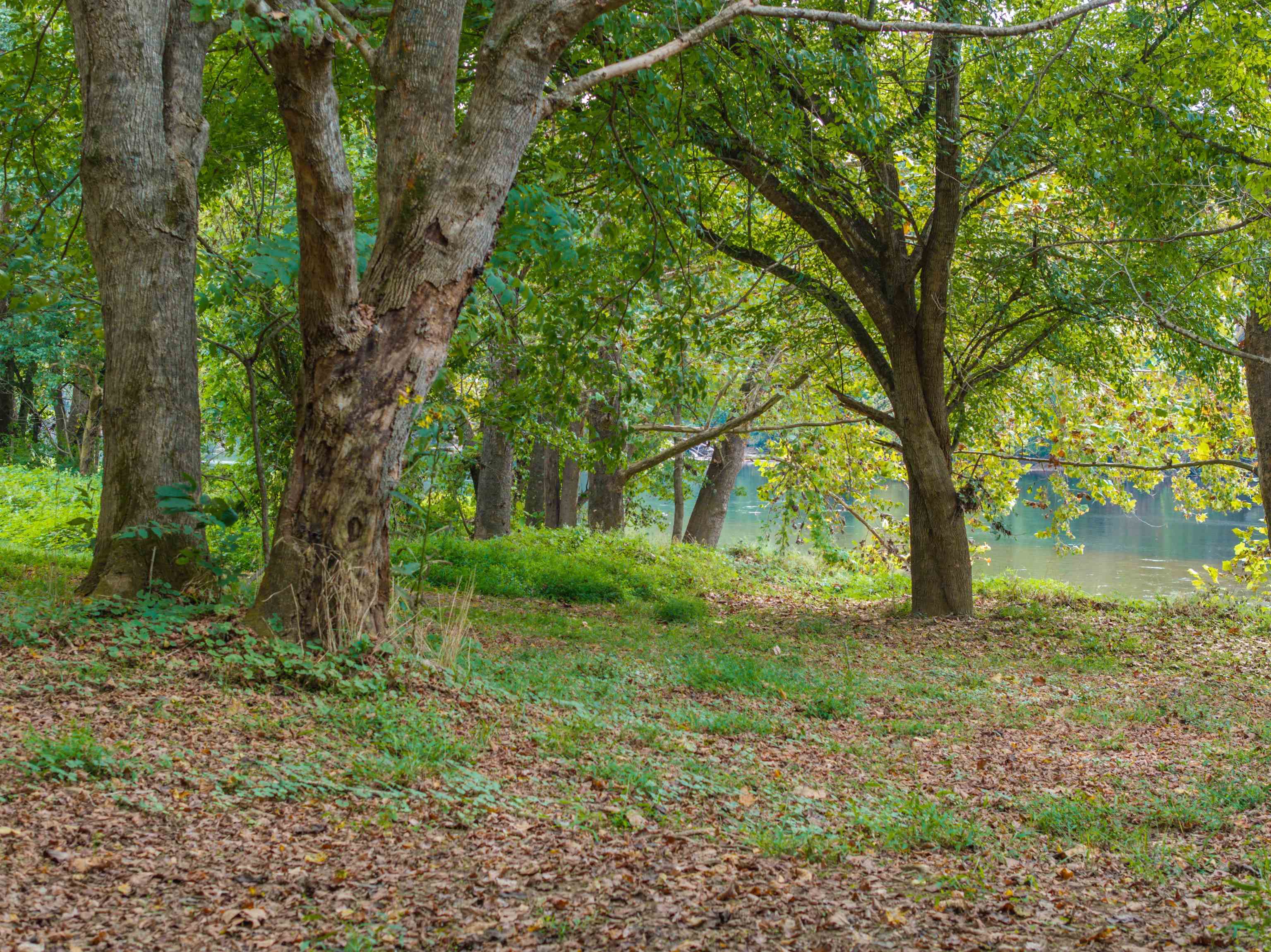 TBD JONES OVERLOOK, HOWARDSVILLE, Virginia 24562, ,Farm,14,TBD JONES OVERLOOK,669732 MLS # 669732