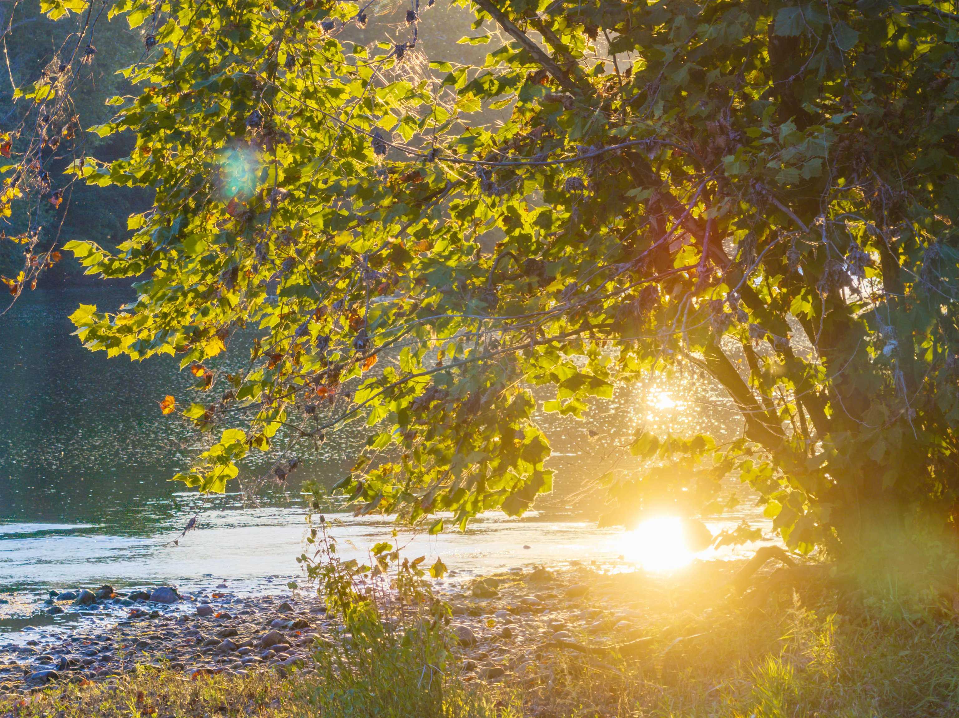 TBD JONES OVERLOOK, HOWARDSVILLE, Virginia 24562, ,Farm,14,TBD JONES OVERLOOK,669732 MLS # 669732