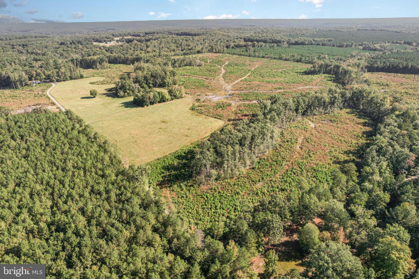 0 WHITE OAK DR, RUTHER GLEN, Virginia 22546, ,Farm,For Sale,0 WHITE OAK DR,VACV2008948 MLS # VACV2008948