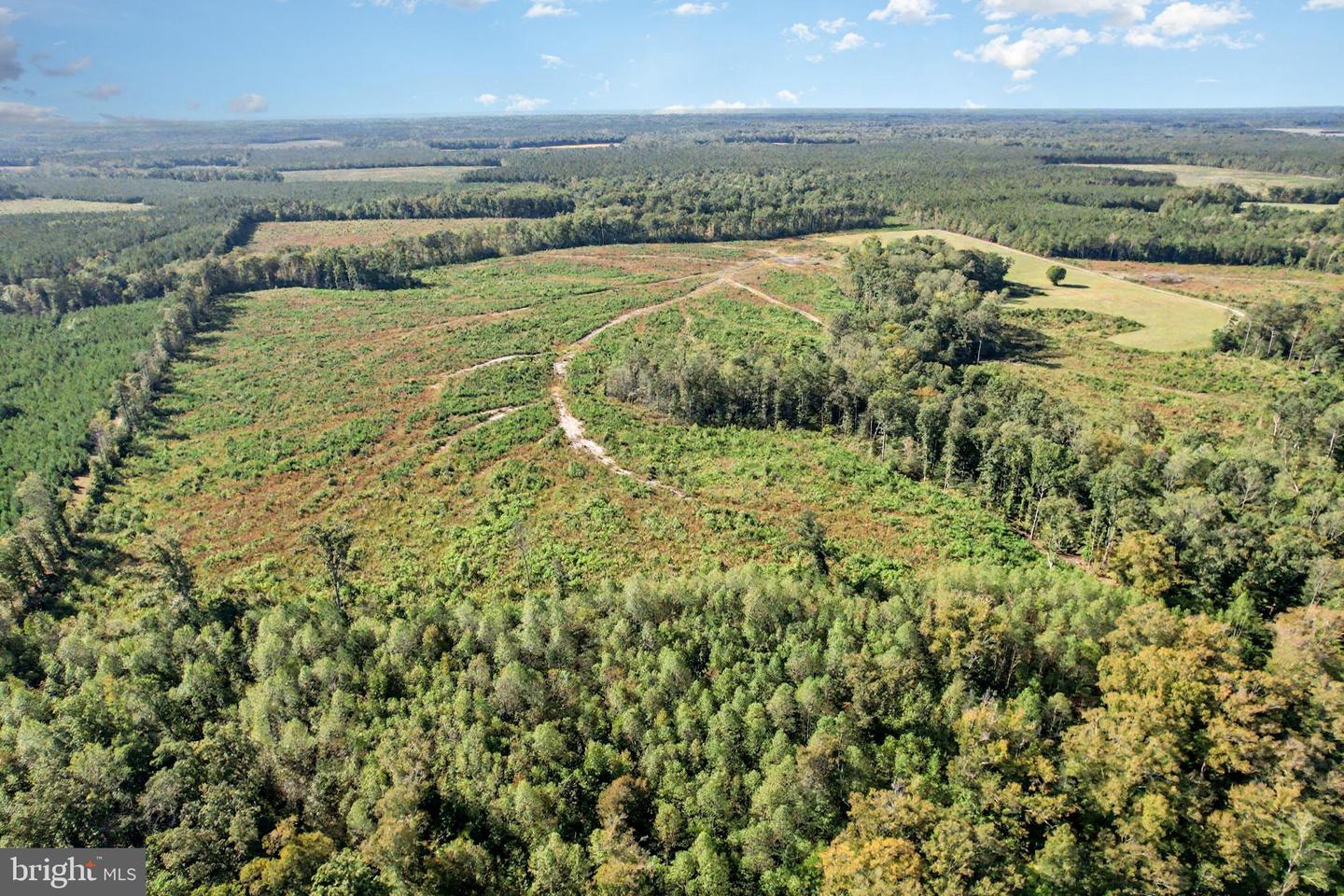 0 WHITE OAK DR, RUTHER GLEN, Virginia 22546, ,Farm,For Sale,0 WHITE OAK DR,VACV2008948 MLS # VACV2008948