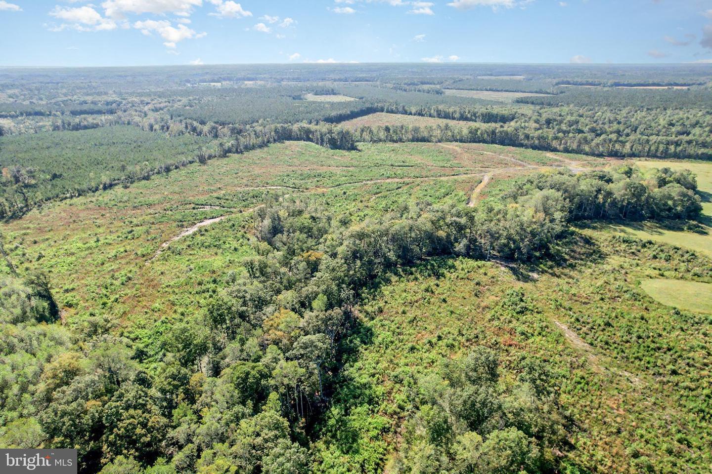 0 WHITE OAK DR, RUTHER GLEN, Virginia 22546, ,Farm,For Sale,0 WHITE OAK DR,VACV2008948 MLS # VACV2008948