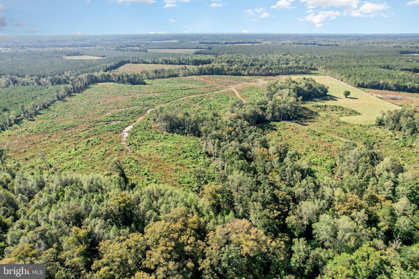 0 WHITE OAK DR, RUTHER GLEN, Virginia 22546, ,Farm,For Sale,0 WHITE OAK DR,VACV2008948 MLS # VACV2008948