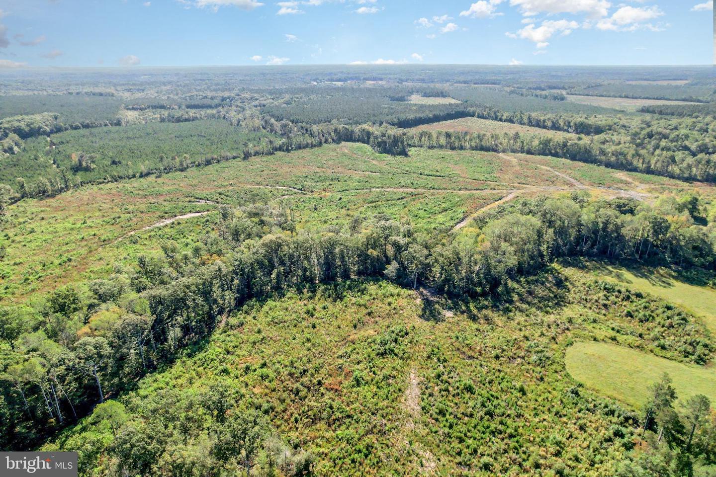 0 WHITE OAK DR, RUTHER GLEN, Virginia 22546, ,Farm,For Sale,0 WHITE OAK DR,VACV2008948 MLS # VACV2008948