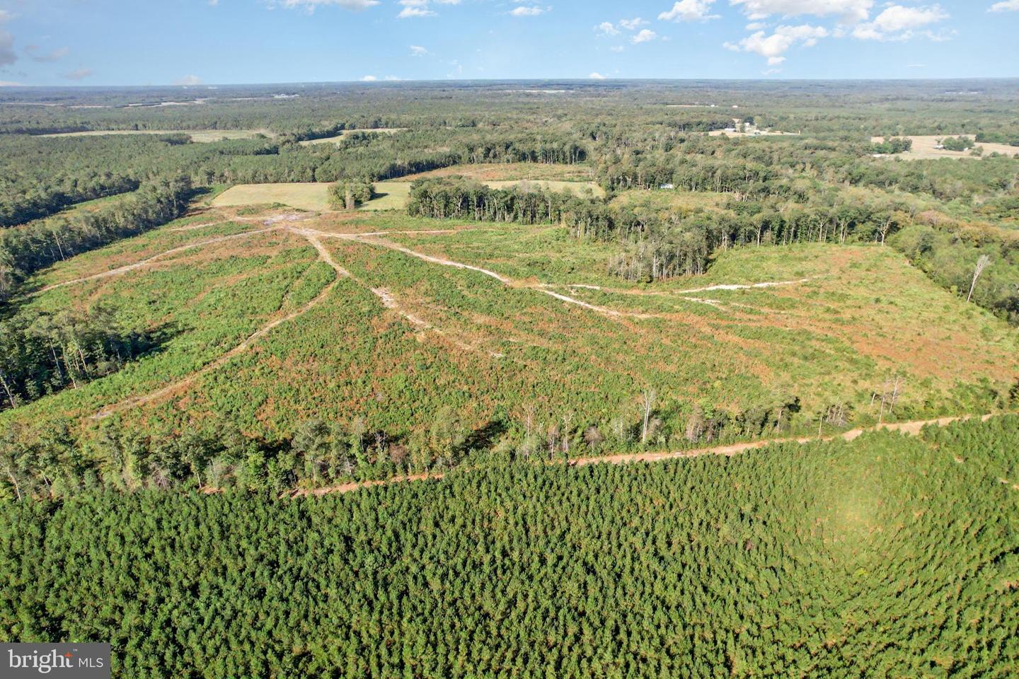 0 WHITE OAK DR, RUTHER GLEN, Virginia 22546, ,Farm,For Sale,0 WHITE OAK DR,VACV2008948 MLS # VACV2008948