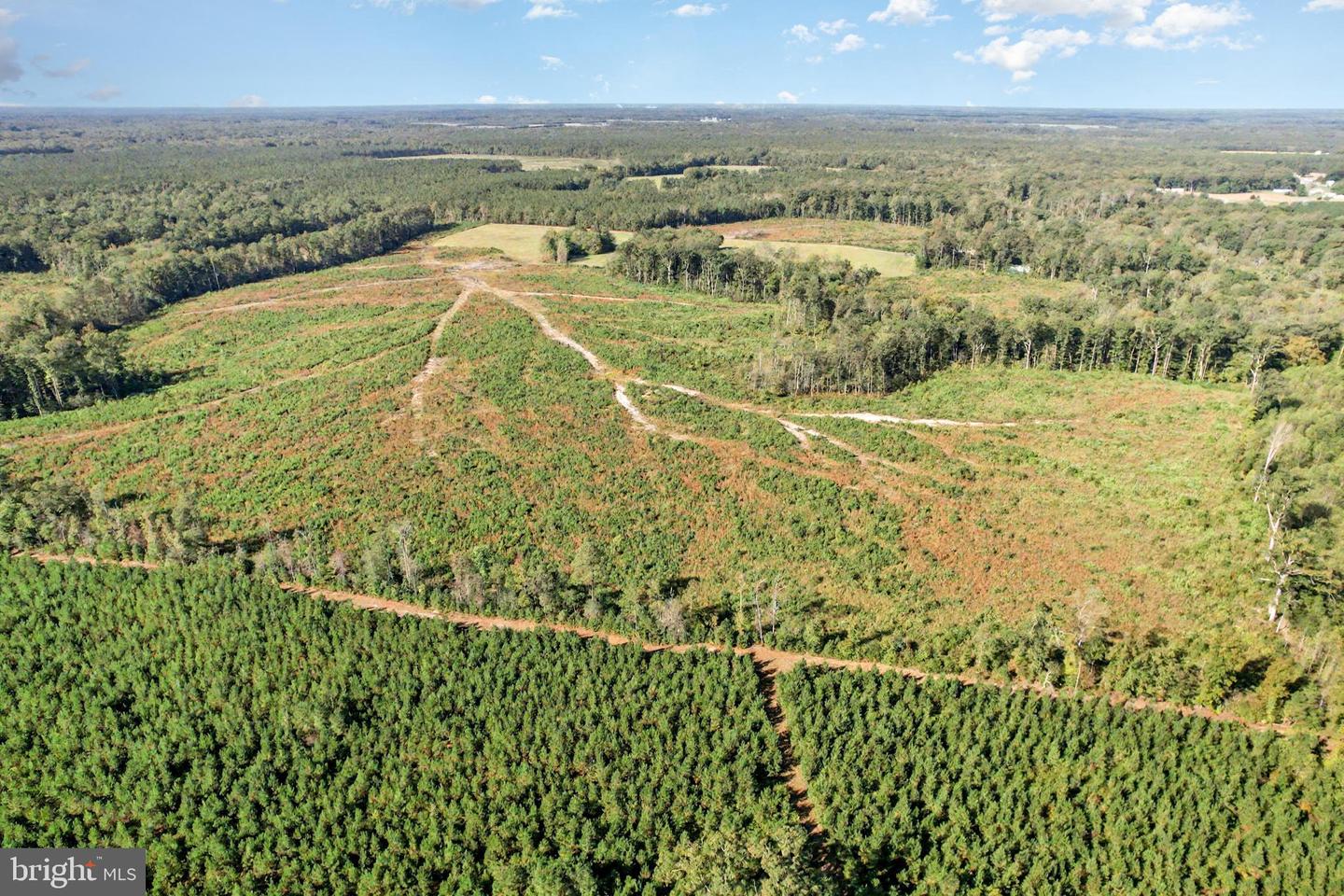 0 WHITE OAK DR, RUTHER GLEN, Virginia 22546, ,Farm,For Sale,0 WHITE OAK DR,VACV2008948 MLS # VACV2008948