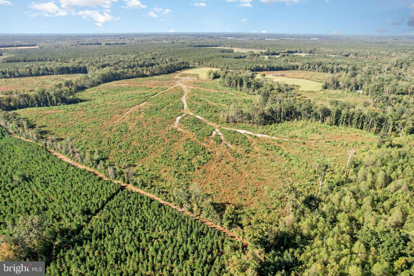 0 WHITE OAK DR, RUTHER GLEN, Virginia 22546, ,Farm,For Sale,0 WHITE OAK DR,VACV2008948 MLS # VACV2008948