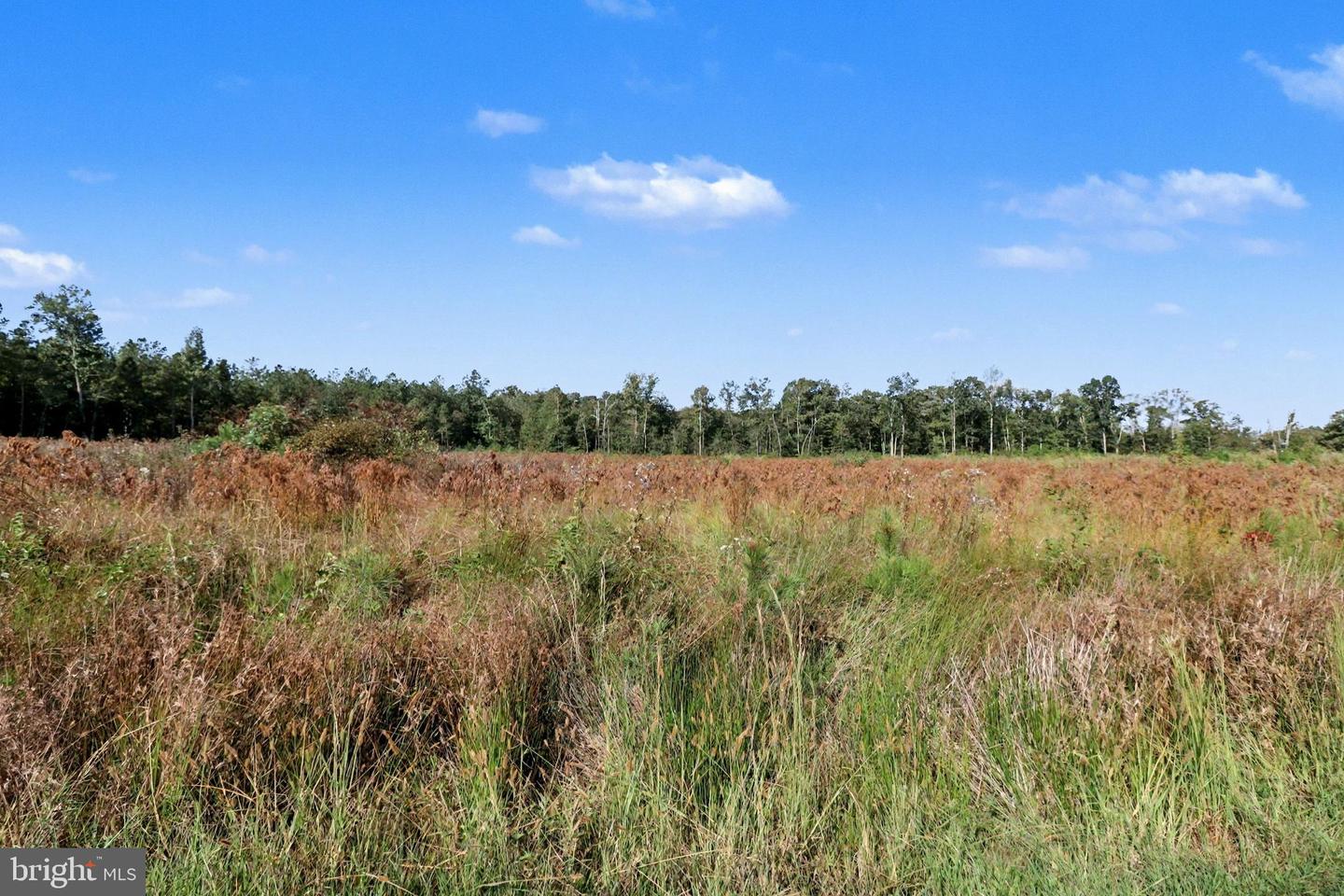 0 WHITE OAK DR, RUTHER GLEN, Virginia 22546, ,Farm,For Sale,0 WHITE OAK DR,VACV2008948 MLS # VACV2008948