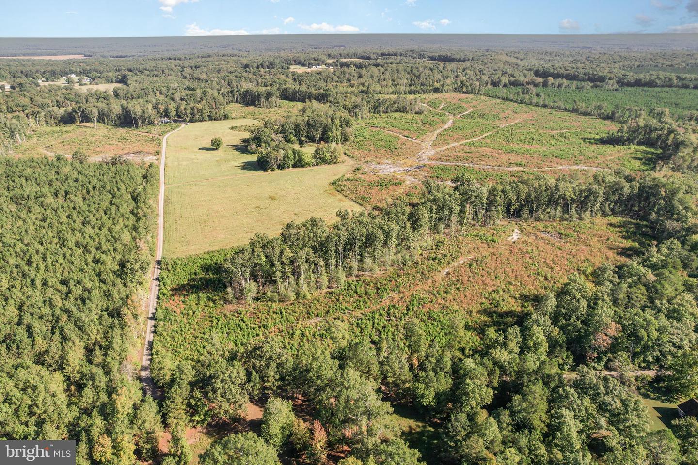 0 WHITE OAK DR, RUTHER GLEN, Virginia 22546, ,Farm,For Sale,0 WHITE OAK DR,VACV2008948 MLS # VACV2008948