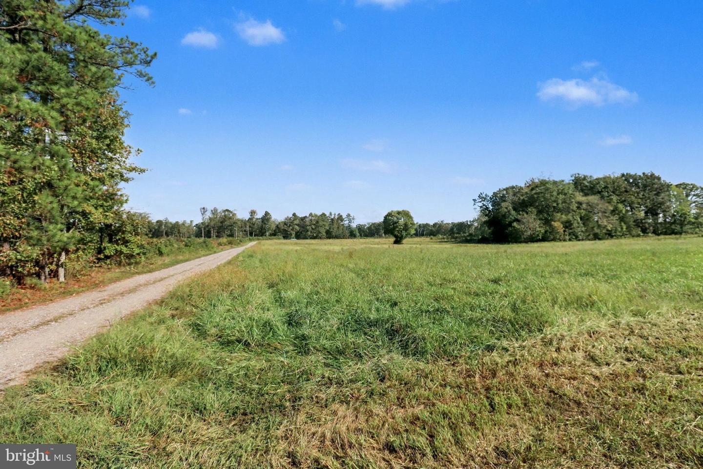 0 WHITE OAK DR, RUTHER GLEN, Virginia 22546, ,Farm,For Sale,0 WHITE OAK DR,VACV2008948 MLS # VACV2008948