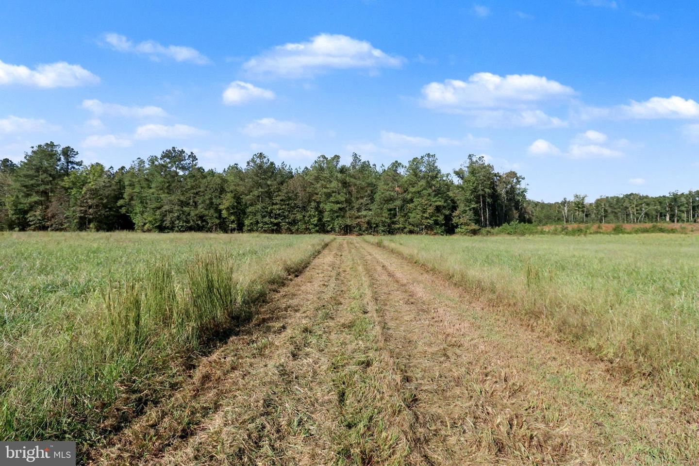 0 WHITE OAK DR, RUTHER GLEN, Virginia 22546, ,Farm,For Sale,0 WHITE OAK DR,VACV2008948 MLS # VACV2008948