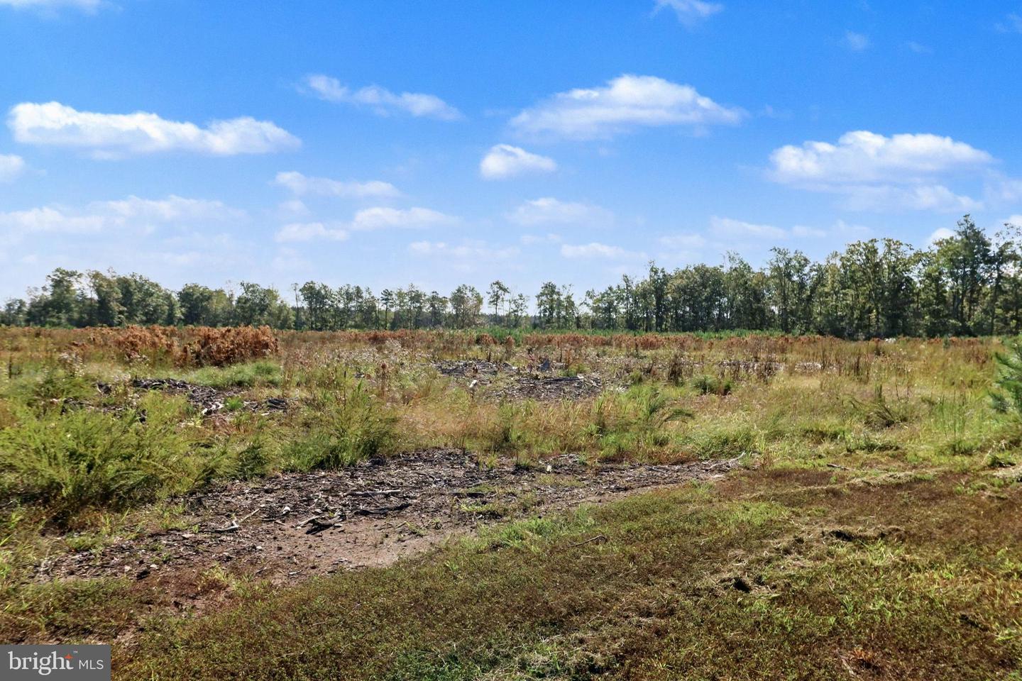 0 WHITE OAK DR, RUTHER GLEN, Virginia 22546, ,Farm,For Sale,0 WHITE OAK DR,VACV2008948 MLS # VACV2008948