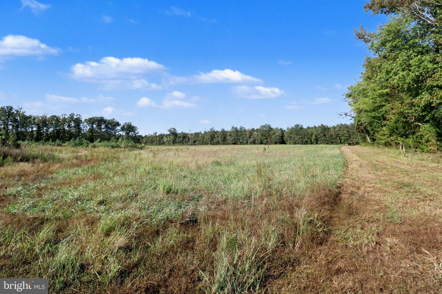 0 WHITE OAK DR, RUTHER GLEN, Virginia 22546, ,Farm,For Sale,0 WHITE OAK DR,VACV2008948 MLS # VACV2008948