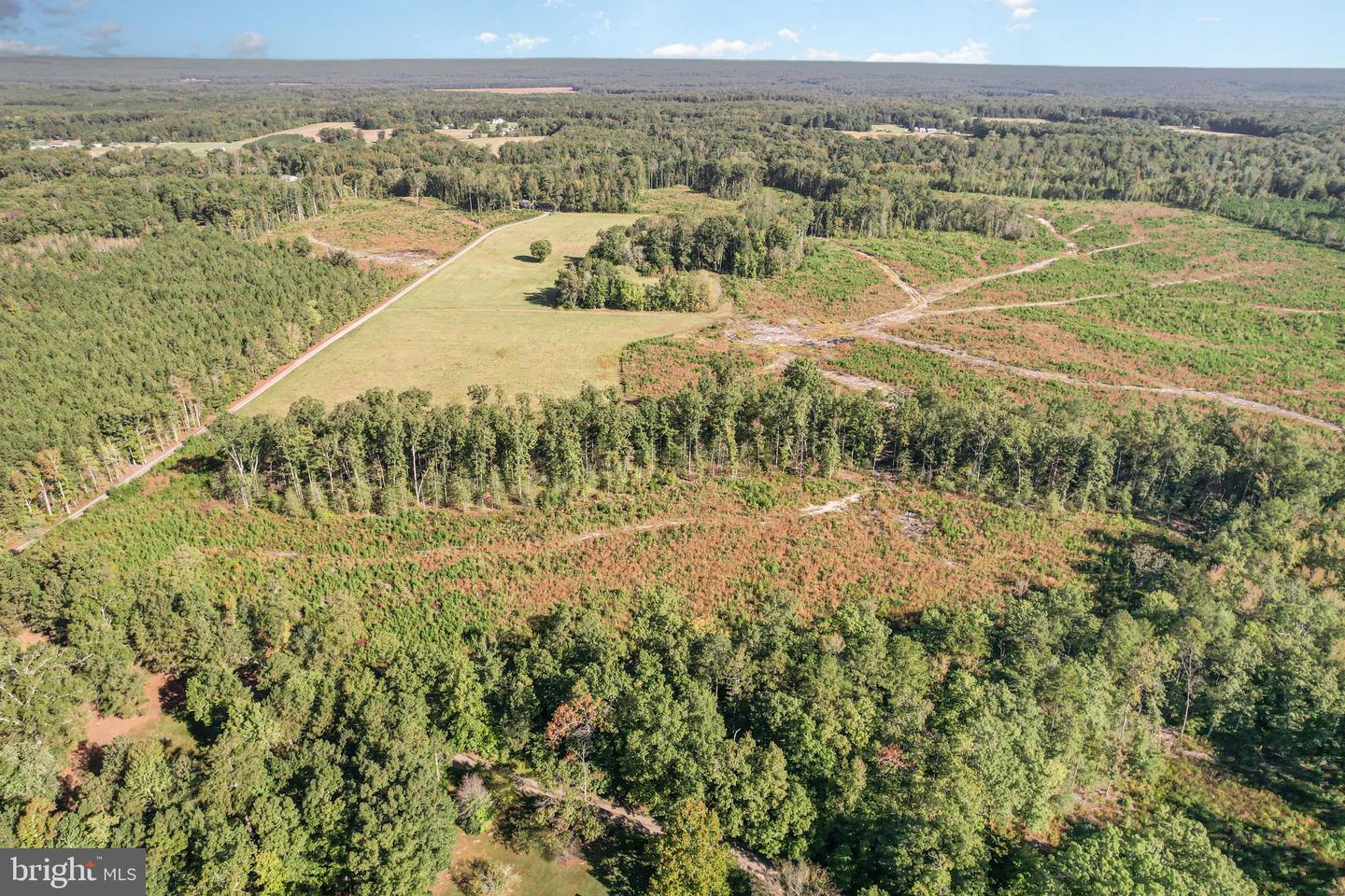 0 WHITE OAK DR, RUTHER GLEN, Virginia 22546, ,Farm,For Sale,0 WHITE OAK DR,VACV2008948 MLS # VACV2008948