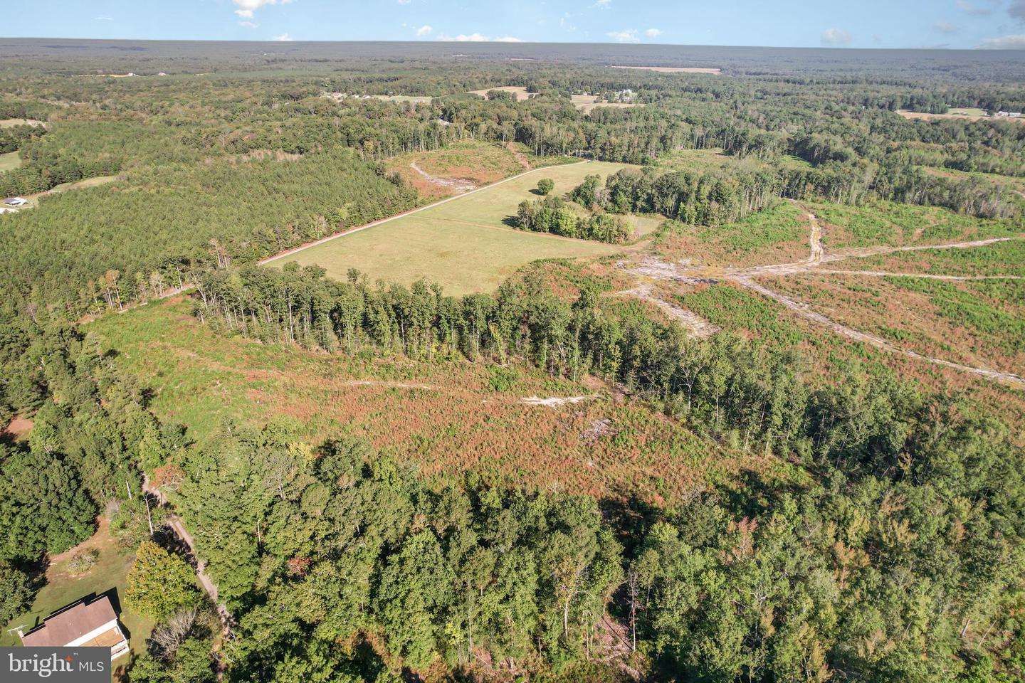 0 WHITE OAK DR, RUTHER GLEN, Virginia 22546, ,Farm,For Sale,0 WHITE OAK DR,VACV2008948 MLS # VACV2008948