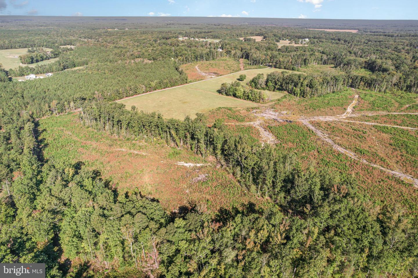 0 WHITE OAK DR, RUTHER GLEN, Virginia 22546, ,Farm,For Sale,0 WHITE OAK DR,VACV2008948 MLS # VACV2008948